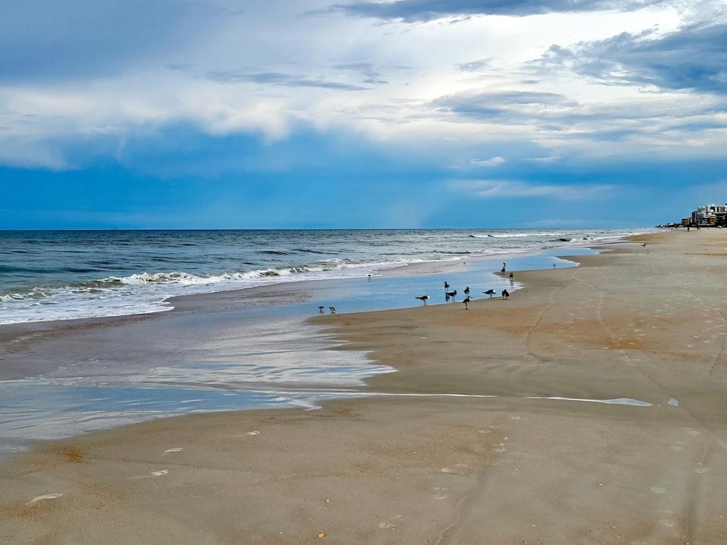 513 - Spectacular Penthouse Level Condo New Smyrna Beach Εξωτερικό φωτογραφία